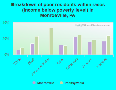 Breakdown of poor residents within races (income below poverty level) in Monroeville, PA