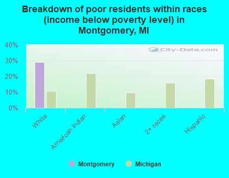 Breakdown of poor residents within races (income below poverty level) in Montgomery, MI