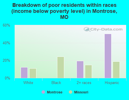 Breakdown of poor residents within races (income below poverty level) in Montrose, MO