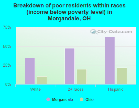 Breakdown of poor residents within races (income below poverty level) in Morgandale, OH