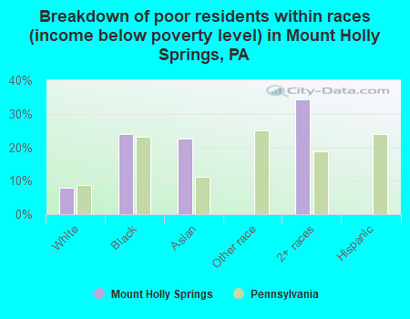 Breakdown of poor residents within races (income below poverty level) in Mount Holly Springs, PA