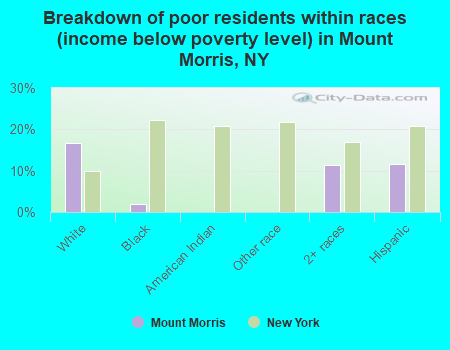Breakdown of poor residents within races (income below poverty level) in Mount Morris, NY