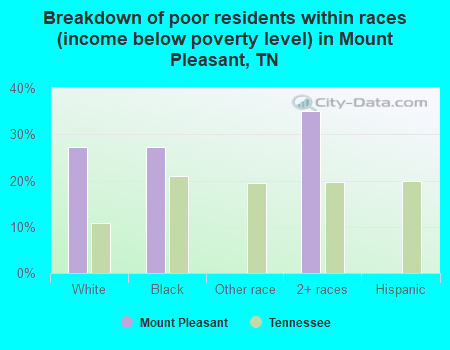 Breakdown of poor residents within races (income below poverty level) in Mount Pleasant, TN