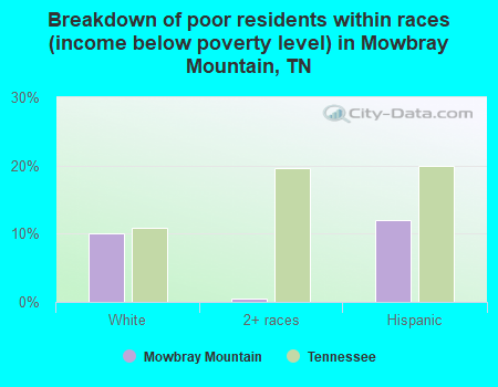 Breakdown of poor residents within races (income below poverty level) in Mowbray Mountain, TN