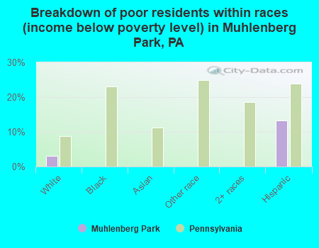 Breakdown of poor residents within races (income below poverty level) in Muhlenberg Park, PA
