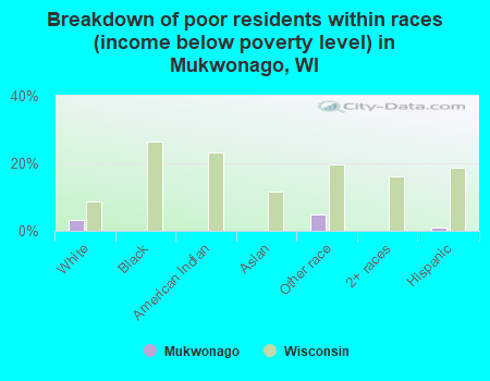 Breakdown of poor residents within races (income below poverty level) in Mukwonago, WI
