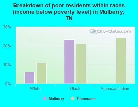 Breakdown of poor residents within races (income below poverty level) in Mulberry, TN