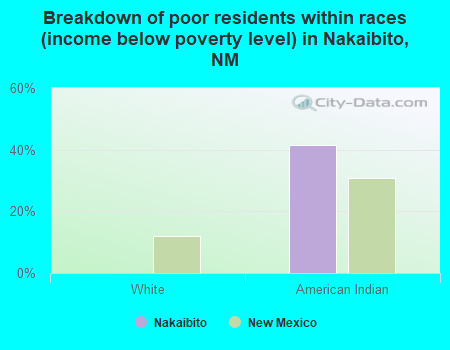 Breakdown of poor residents within races (income below poverty level) in Nakaibito, NM