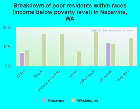 Breakdown of poor residents within races (income below poverty level) in Napavine, WA