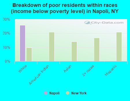 Breakdown of poor residents within races (income below poverty level) in Napoli, NY
