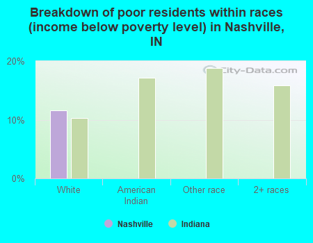 Breakdown of poor residents within races (income below poverty level) in Nashville, IN