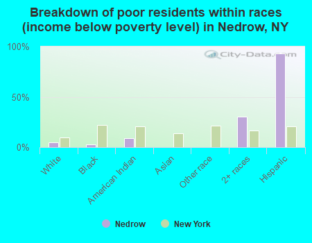 Breakdown of poor residents within races (income below poverty level) in Nedrow, NY