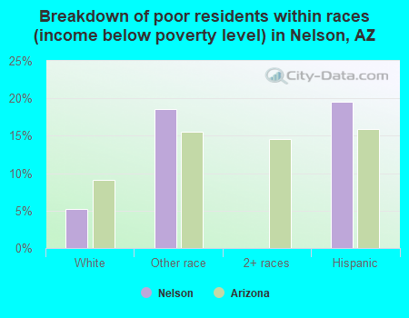 Breakdown of poor residents within races (income below poverty level) in Nelson, AZ