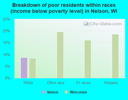 Breakdown of poor residents within races (income below poverty level) in Nelson, WI