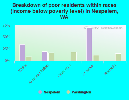 Breakdown of poor residents within races (income below poverty level) in Nespelem, WA
