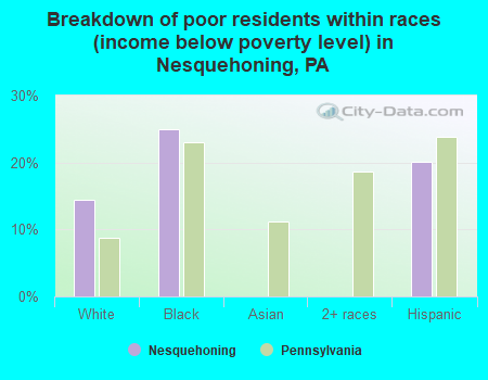 Breakdown of poor residents within races (income below poverty level) in Nesquehoning, PA