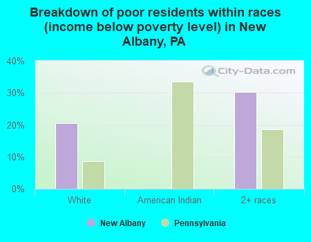 Breakdown of poor residents within races (income below poverty level) in New Albany, PA