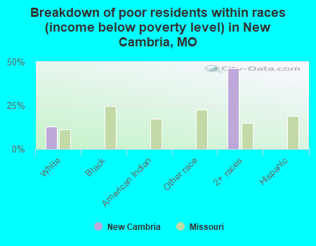Breakdown of poor residents within races (income below poverty level) in New Cambria, MO