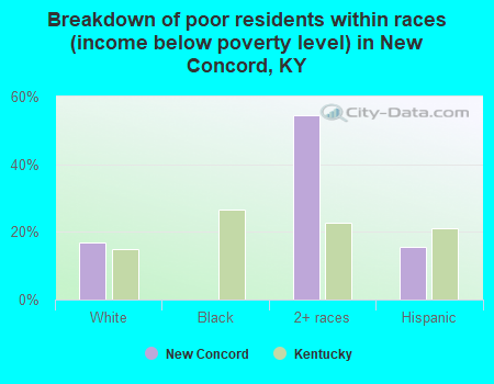 Breakdown of poor residents within races (income below poverty level) in New Concord, KY