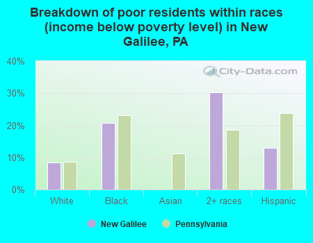 Breakdown of poor residents within races (income below poverty level) in New Galilee, PA