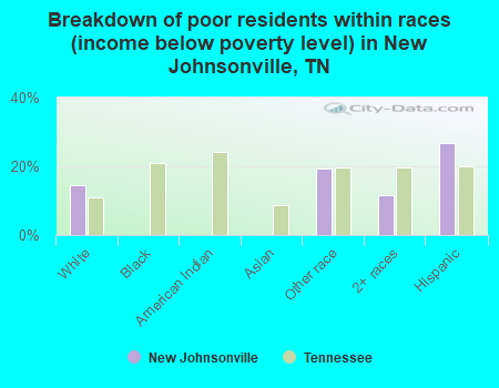 Breakdown of poor residents within races (income below poverty level) in New Johnsonville, TN