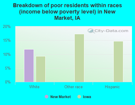 Breakdown of poor residents within races (income below poverty level) in New Market, IA