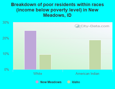 Breakdown of poor residents within races (income below poverty level) in New Meadows, ID