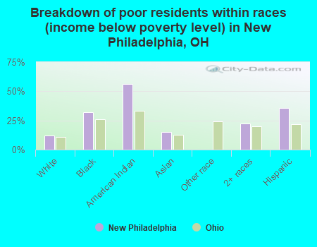Breakdown of poor residents within races (income below poverty level) in New Philadelphia, OH
