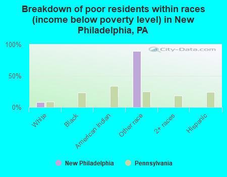 Breakdown of poor residents within races (income below poverty level) in New Philadelphia, PA