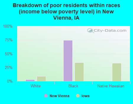 Breakdown of poor residents within races (income below poverty level) in New Vienna, IA