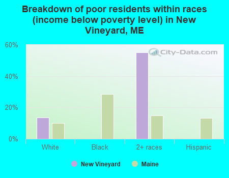 Breakdown of poor residents within races (income below poverty level) in New Vineyard, ME