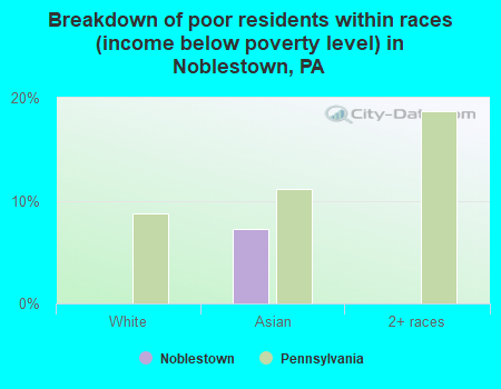 Breakdown of poor residents within races (income below poverty level) in Noblestown, PA