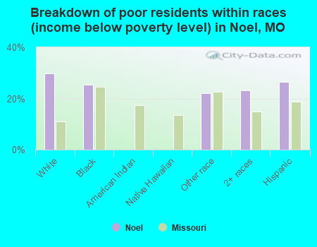 Breakdown of poor residents within races (income below poverty level) in Noel, MO