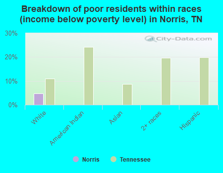 Breakdown of poor residents within races (income below poverty level) in Norris, TN