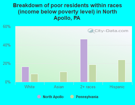 Breakdown of poor residents within races (income below poverty level) in North Apollo, PA