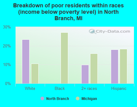 Breakdown of poor residents within races (income below poverty level) in North Branch, MI