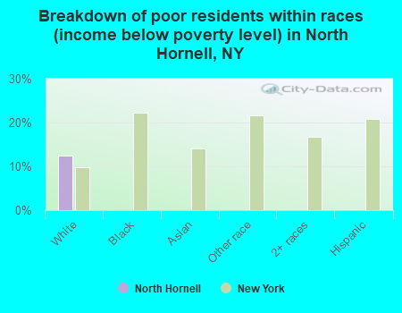 Breakdown of poor residents within races (income below poverty level) in North Hornell, NY
