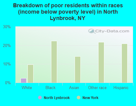 Breakdown of poor residents within races (income below poverty level) in North Lynbrook, NY