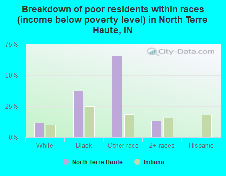 Breakdown of poor residents within races (income below poverty level) in North Terre Haute, IN