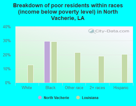 Breakdown of poor residents within races (income below poverty level) in North Vacherie, LA