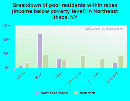 Breakdown of poor residents within races (income below poverty level) in Northeast Ithaca, NY