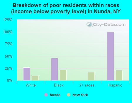 Breakdown of poor residents within races (income below poverty level) in Nunda, NY