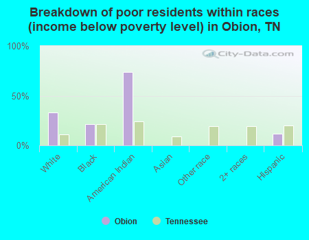 Breakdown of poor residents within races (income below poverty level) in Obion, TN