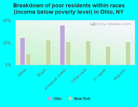Breakdown of poor residents within races (income below poverty level) in Ohio, NY