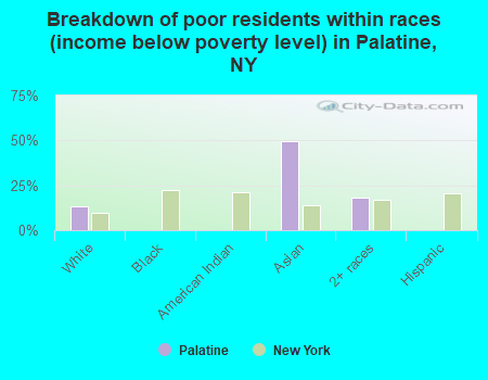 Breakdown of poor residents within races (income below poverty level) in Palatine, NY
