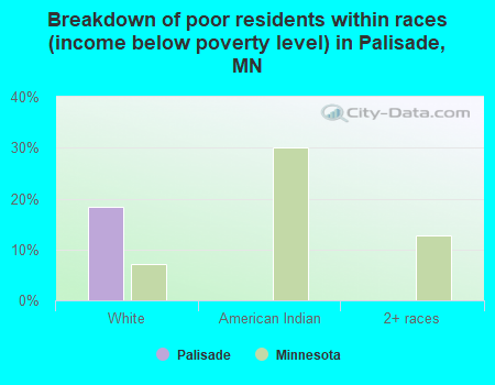 Breakdown of poor residents within races (income below poverty level) in Palisade, MN