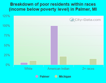 Breakdown of poor residents within races (income below poverty level) in Palmer, MI