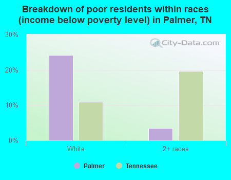 Breakdown of poor residents within races (income below poverty level) in Palmer, TN