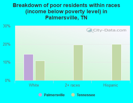 Breakdown of poor residents within races (income below poverty level) in Palmersville, TN