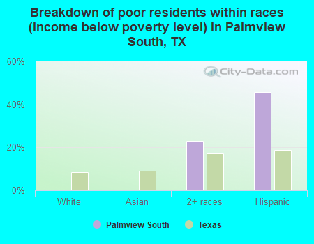 Breakdown of poor residents within races (income below poverty level) in Palmview South, TX